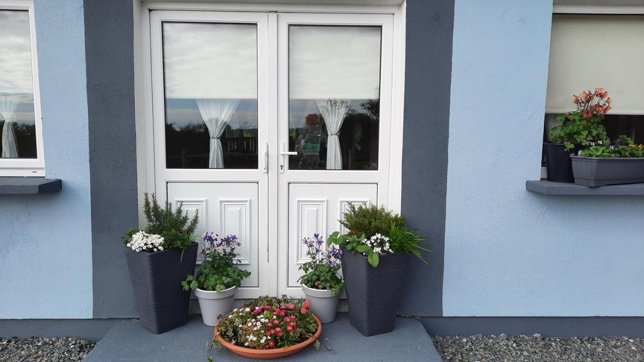 Clifden Wildflower Cottage - Clifden Countryside Lettings Exterior foto