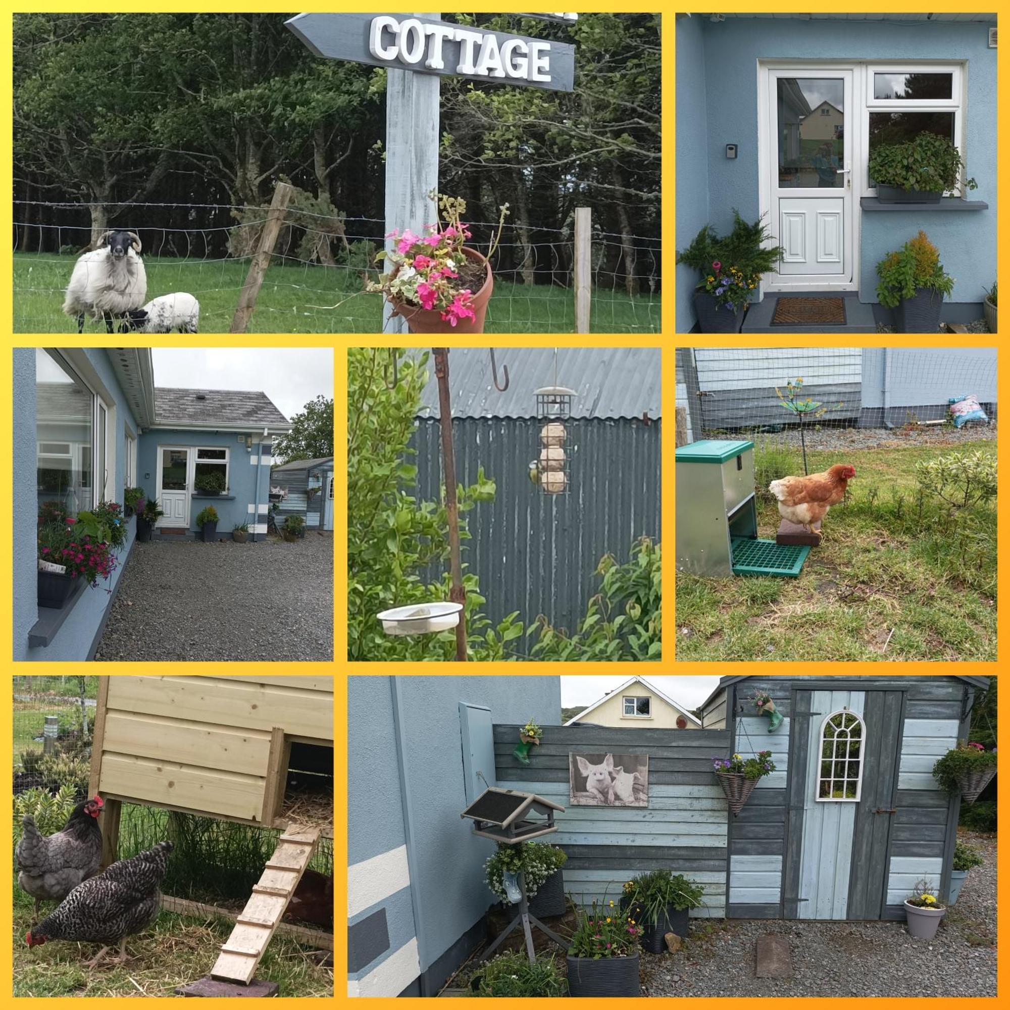 Clifden Wildflower Cottage - Clifden Countryside Lettings Exterior foto