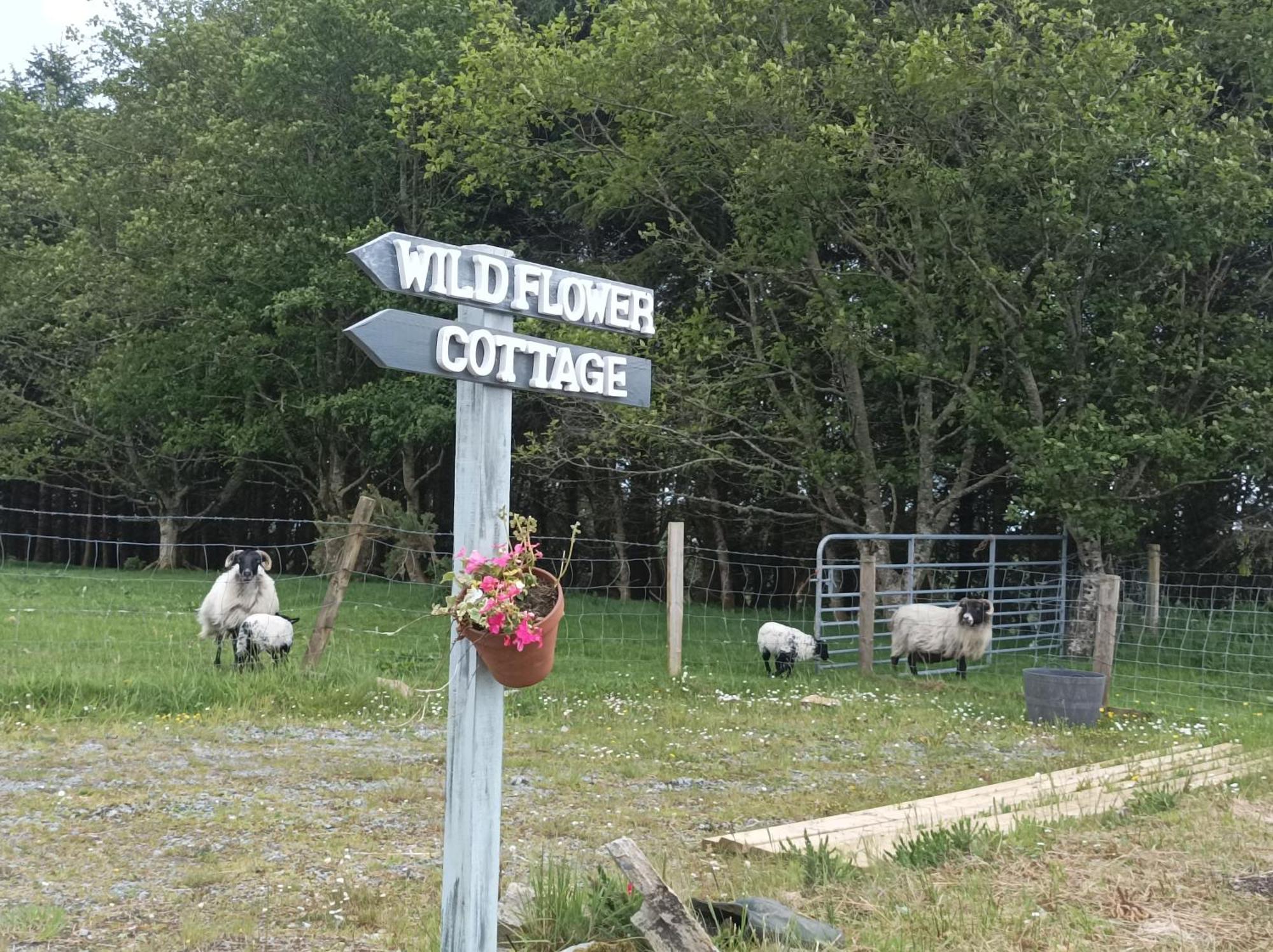 Clifden Wildflower Cottage - Clifden Countryside Lettings Exterior foto